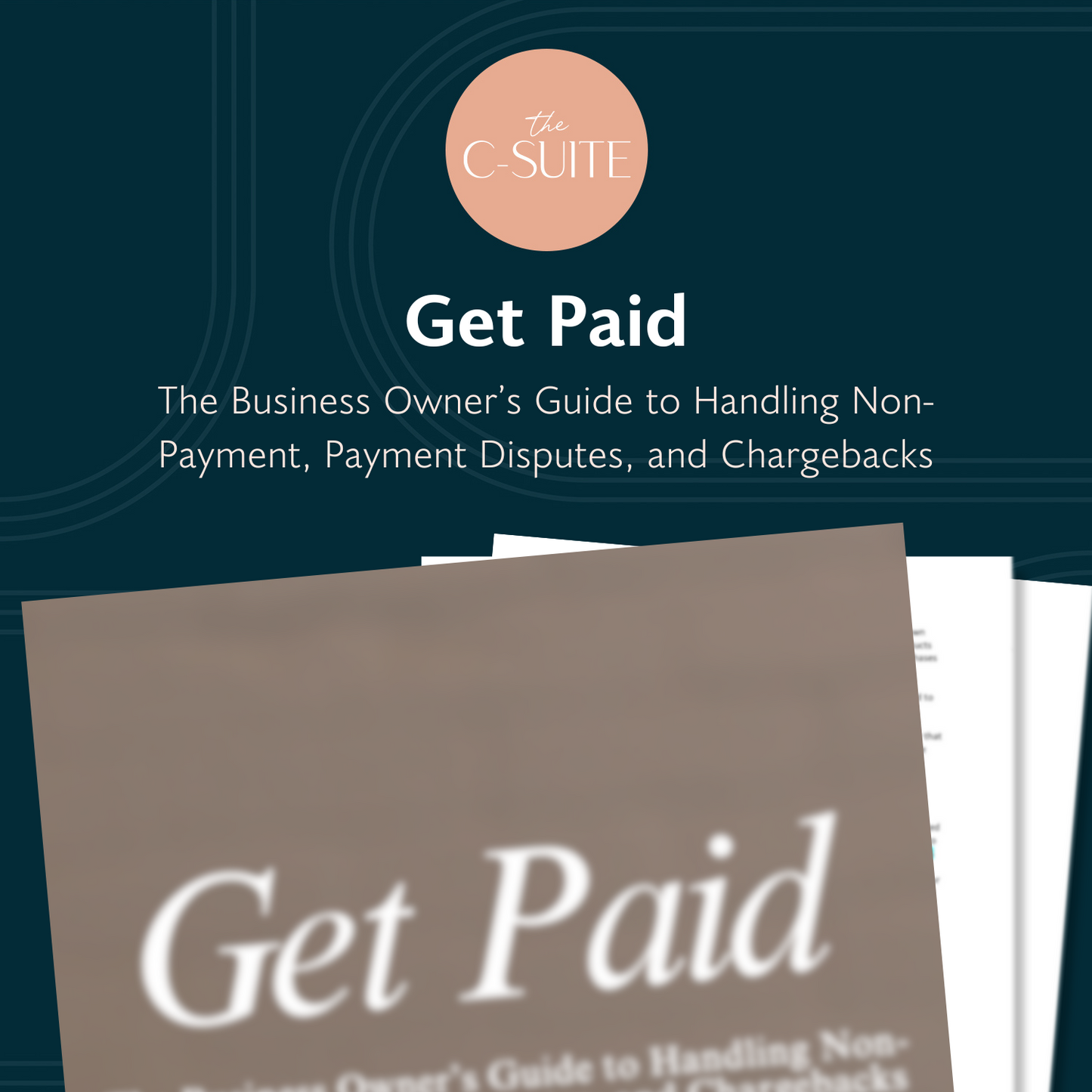 Get Paid: The Business Owner’s Guide to Handling Non-Payment, Payment Disputes, and Chargebacks